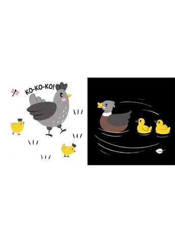 Моя контрастна книжка: "Мама і малюк" Ранок 1703004 від народження No Brand (330020890)