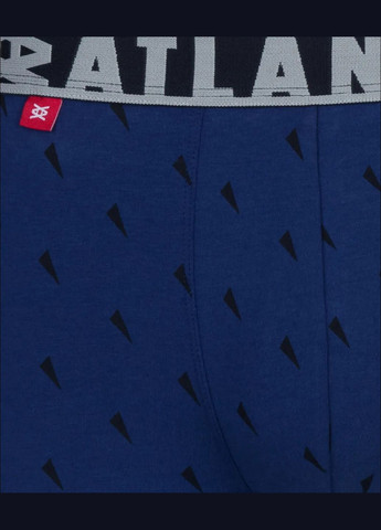 Мужские шорты боксеры Atlantic (300368415)