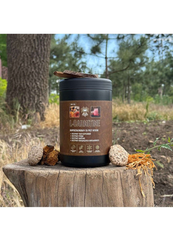 L-CARNITINE коктейль (Жиросжигатель и рост мышц) 40 г Лесовик Лісовик (364210664)