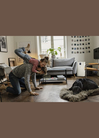 Очисник повітря AF 50, 50м2, 520м3/год, дисплей, 2 HEPA фільтри, 4 режими, інд. забр-ння, KARCHER (315143858)