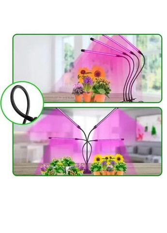 Фитолампа светодиодная для роста растений Plant Grow Light 7819 USB фитосветильник лампа для рассады с таймером Черный No Brand (315397185)