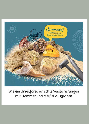 Набор для исследования Раскопка окаменелостей (617226) Kosmos (333252039)