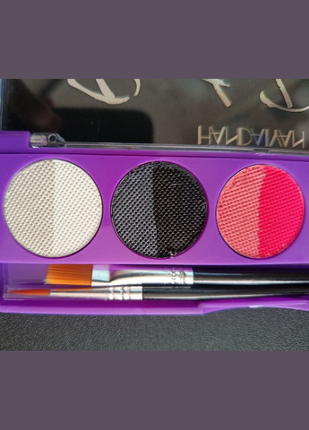 Аквагрим УФ Paint Dream набір 10 кольорів + 2 пензлі No2 Handaiyan (343053287)