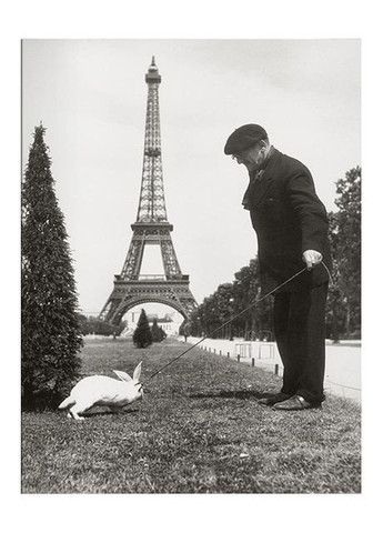 Книга Robert Doisneau. Paris (9783836599481) Taschen (364654000)