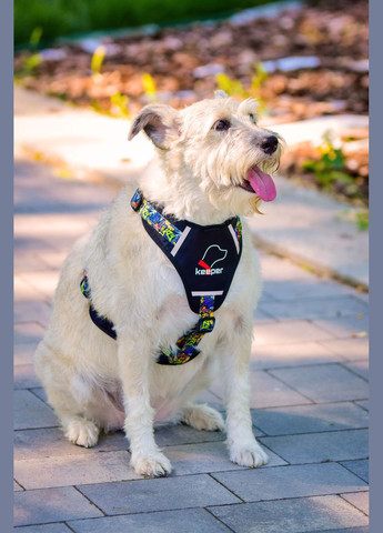 Шлея з нейлону з візерунком "CRAZY", логотипом та пластиковою пряжкою 25 мм А:500-640 мм, В:660-900 мм Kareline (339074803)