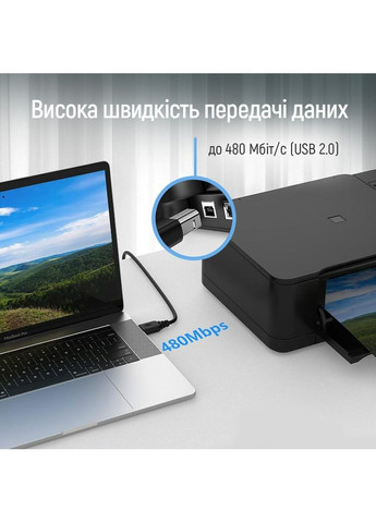 Кабель USB - USB Type-B V 2.0 (M/M), 3 м, Black (CW-CBUB073-BK) Colorway (364860896)