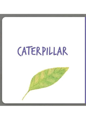 Insects. Collect the rainbow Артбукс (370068297)