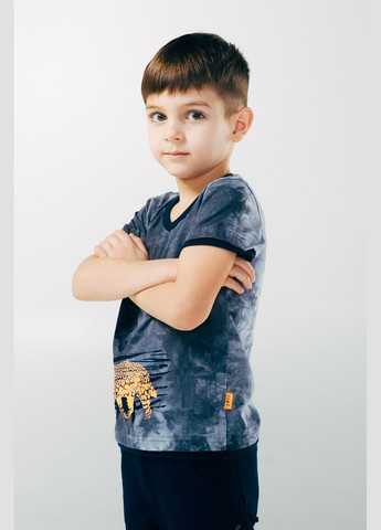 Сіра літня футболка для хлопчика Smil