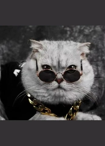 Очки для кошек Pet Style 8 см Радужные Синие No Brand (330982066)