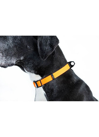 Ошейник, регулируемый, универсальный размер (ширина 25мм, длина 25-70 см) оранжевый Evolutor (322002149)