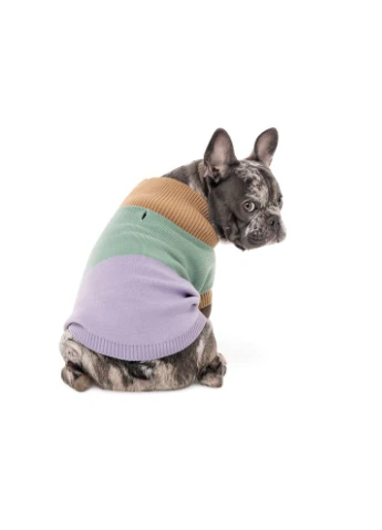 Свитер для собак Rich бежевый такса XS Pet Fashion (395731919)