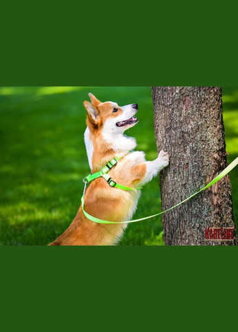 Повідець з нейлону зі світловідбивною ниткою 20 мм 1800 мм Kareline (339074892)