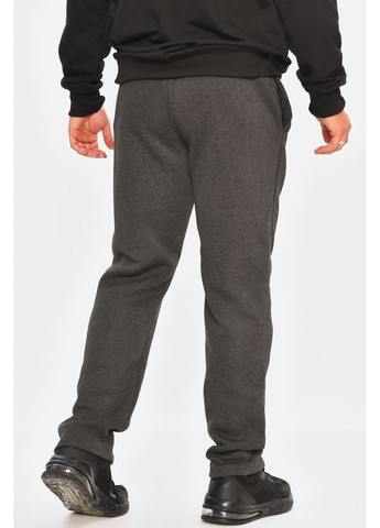 Спортивні штани чоловічі на флісі темно-сірого кольору Let's Shop (363253882)