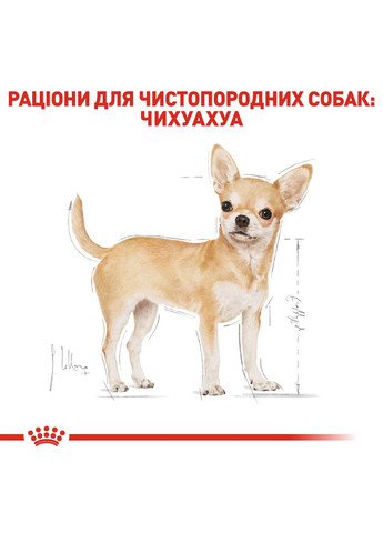 Сухий повнораціонний корм для дорослих собак породи чихуахуа Chihuahua Adult віком від 8 місяців Royal Canin (279566324)
