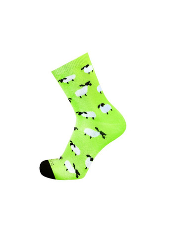 Набір (3 шт) дитячих шкарпеток Duna 4063_3 (305403966)