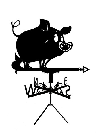 Флюгер на дом Кабан, флюгер на крышу из металла 2 мм. No Brand (368896596)