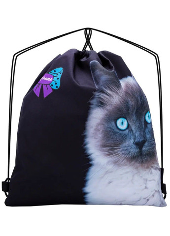 Шкільний рюкзак для дівчаток R1-023 SkyName (278404632)