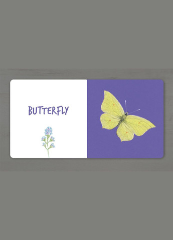 Книга Собери радугу. Сделать рейнбоу. Insects. Автор - Екатерина Таберко ( ) (англ.) Artbooks (338869818)