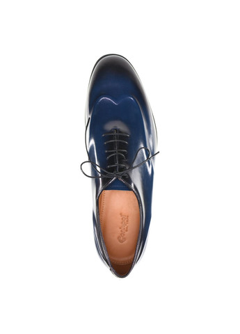 Демісезонні модельні туфлі Conhpol (271252036)