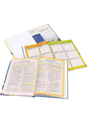 Щоденник B5 "Футболіст" / тв. обл. мат+лак / Romelu Lukaku MANDARIN (342416635)