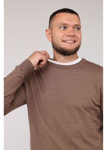 Джемпер мужской цвет коричневый CB-00275932 Yuki (352691119)