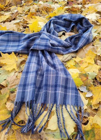 Мужской кашемировый шарф Клетка No Brand (367861758)