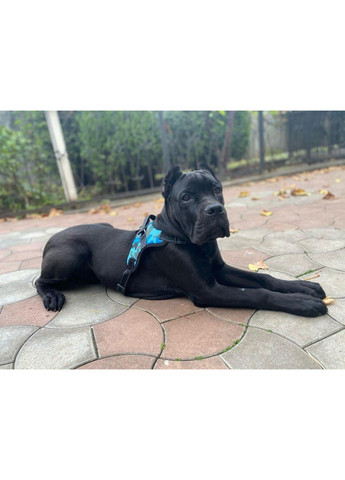 Шлей для собак с ручкой Комфорт и безопасность на прогулке No Brand (362571906)