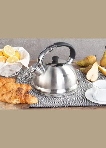 Чайник из нержавеющей стали 3.0 л EB-2446 Edenberg (334881097)