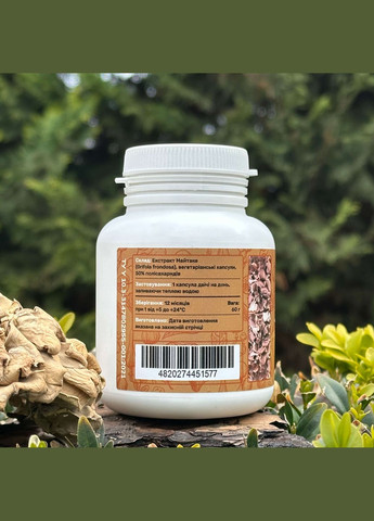 Майтаке, экстракт 10:1, капсулы 120 шт по 0.5 г Лісовик (334292974)