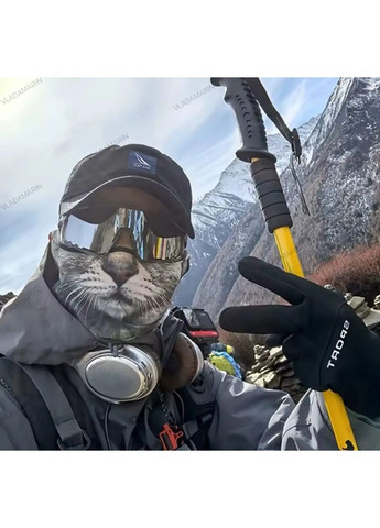 Реалістична маска Рижий Кіт із 3D-друком,балаклава повнолицева з мікрофібри,прикол No Brand (368695228)