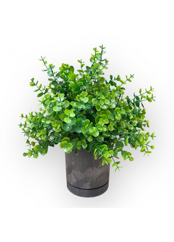 Искусственный эвкалипт 35 см Эвкалипт искусственный в горшке Вазон с искусственной зеленью Пластмакс (372837962)