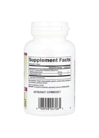 Екстракт чорної бузини Black Elderberry, 100 mg, 60 Fast-Acting Softgels Natural Factors (301426787)