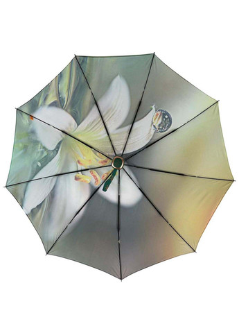 Женский зонт полуавтомат на 9 спиц Frei Regen (289977347)