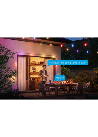 Набор светодиодных ламп H7025 Outdoor Clear Bulb String Lights, 15м, RGBIC/Warm White, WI-FI/Bluetooth, черный Govee (370619028)