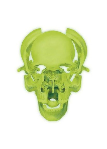 Пазл 4D Master Об'ємна анатомічна модель Череп людини світиться (FM-626113) SKL Объемная анатомическая модель Череп человека светя (366067063)