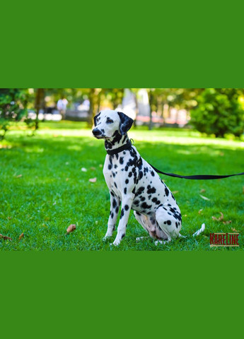 Поводок из брезента 20 мм 5000 мм Kareline (339075481)