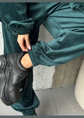 Жіночий якісний велюровий костюм на блискавці No Brand (322288898)