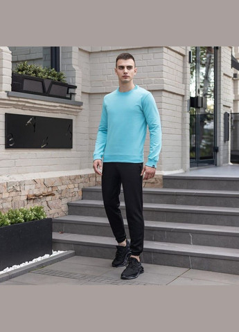 Бірюзовий стильний чоловічий світшот однотонний бірюзовий Freedom однотонний без декору (342741121)