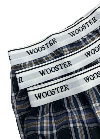 Комплект трусов Wooster (322081849)