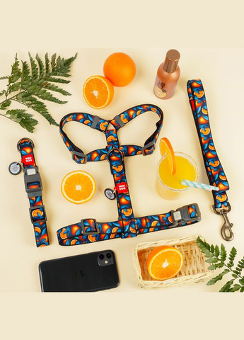 Ошейник для собак нейлоновый Nylon с QR паспортом, рисунок "Апельсины", пластиковый фастекс, Ш 35 мм, Длин 46-70 см WAUDOG (322002507)
