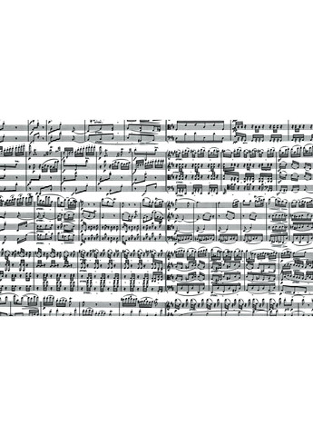 Пазл Музыкальные ноты, 1000 элементов () Piatnik PT-543449 (328394238)