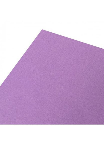 Набор фетра мягкого 743354 21х30 см 10 листов Santi (364765517)