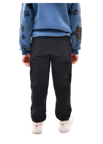 Штани спортивні для хлопчика Pan (370433713)