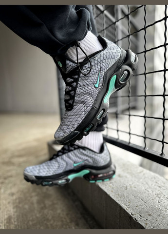 Серые всесезонные кроссовки мужские nike air max tn plus grey | найк аир макс тн плюс серые No Brand