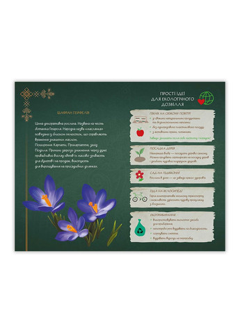 Блокнот Мавка Літо М‘яка Обкладинка ЛП1815005У 9789667514037 РАНОК (295543846)