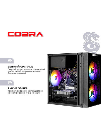 Комп'ютер Advanced (I121F.16.H2S2.96XT.25158W) Cobra (357210150)