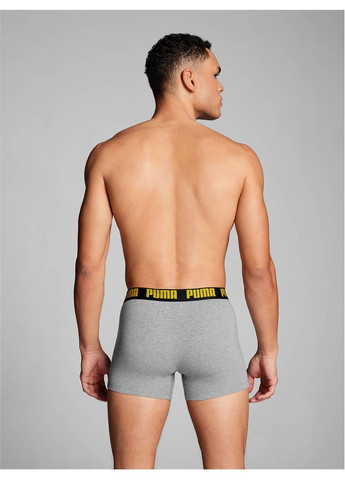Набір 2 шт боксерки чоловічі труси Puma Everyday Basic Boxer Briefs 2P (363256838)