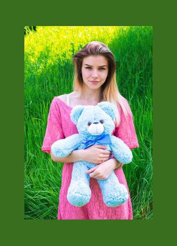 М'яка іграшка "Ведмедик Нестор" 40 см No Brand (342374354)