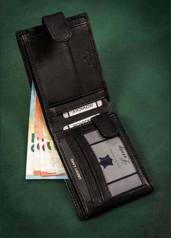 Кожаное портмоне мужское Rovicky (300078503)