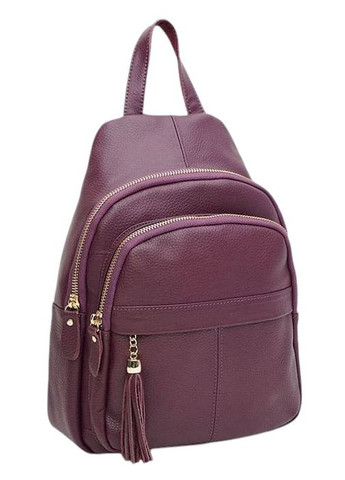 Жіночий рюкзак шкіряний K11032v-violet Borsa Leather (302521531)